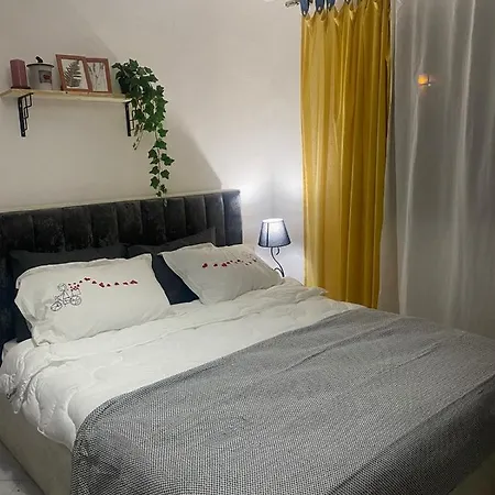 4 Seasons Apartment